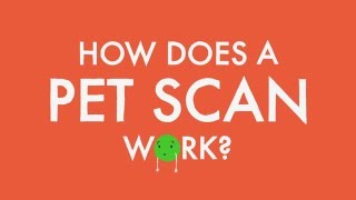 How does a PET scan work [upl. by Atinaj]