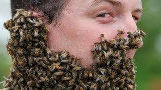 20 People Covered in Bees [upl. by Leighton]