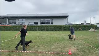 Entlebucher Sennenhunde ShowTraining [upl. by Nilyram]