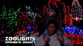 Zoolights at Point Defiance Zoo amp Aquarium [upl. by Chicoine]