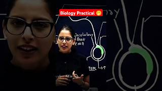 Samapti mam angry 💢😡 on biology practical 🤭🤭 Part2 trending viral ytshorts physicwallh [upl. by Josephine]