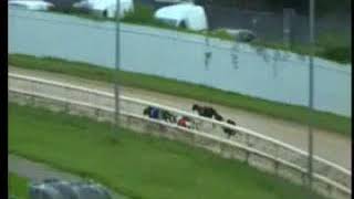 IGB  Tote Pick Six Jackpot 12082018 Race 3  Tralee [upl. by Lombardi]