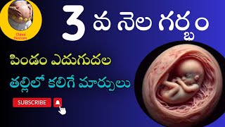 గర్భం 3 వ నెల  Pregnancy 3rd Month symptoms in telugu  week by week  Pregnancy Symptoms [upl. by Nnahsal]