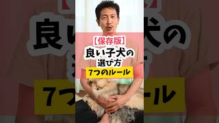 【保存版】よい子犬との出会い方7つのルール犬のしつけ dog 犬のいる暮らし [upl. by Ritchie234]