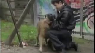 EastEnders 1994 Wellard the dogs first appearance Part 1 [upl. by Gnanmas712]