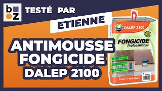 Antimousse fongicide professionnel Dalep 2100  Test et Avis [upl. by Camfort]