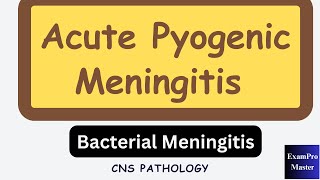 Bacterial Meningitis  Acute Pyogenic Meningitis  CNS Pathology [upl. by Norramic206]