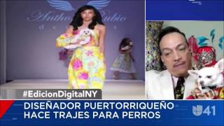 Anthony Rubios Interview on Univision  Dog Fashion Runway Show [upl. by Ellehcsar]