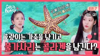 바다의 포식자 불가사리에 과학을 더하면 불가사리로 친환경 뷰티를 겟잇뷰티 EP7 [upl. by Otreblada295]