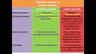 Sensitive vs Critical periods of learning  VCE Psychology [upl. by Ahswat]