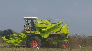 panesar minicombine g60 harvester indianhacker farmerchoice panesaragrotech [upl. by Aden899]