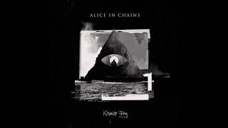 Alice in chains  Drone  2018 New song [upl. by Aihseyt175]