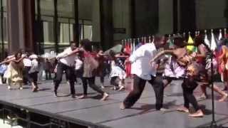 Pata Pata Chicago Sister Cities International South Africa Dance [upl. by Agnese]