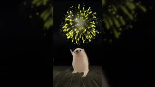 hedgehog dancing to michael jackson 🦔🦔 Hamsterthai thaihedgehog myhamster [upl. by Zora]