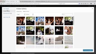 Flothemes  WordPress Gallery [upl. by Calder]