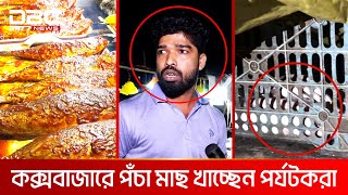 কক্সবাজারে পঁচা মাছের বারবিকিউ  DBC NEWS Special [upl. by Marte]