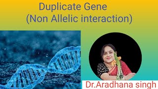 Duplicate Gene Non Allelic interaction [upl. by Sherrill]