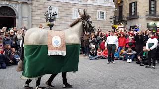 450 anys de la Mulassa de Barcelona  Ballada de la Somera de Falset  Gegants [upl. by Fabrin]