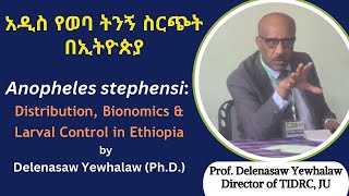 Anopheles stephensi distribution bionomics amp larval control in Ethiopia by Prof Delenasaw Yewhalaw [upl. by Eseekram]