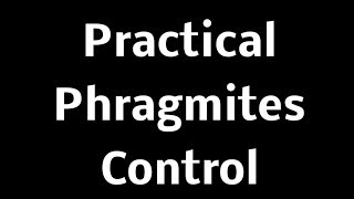 Practical Phragmites Control Meeting  Clay Twp Presentation [upl. by Hallsy]