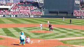 20180310 オープン戦 広島ーヤクルト 始球式水田わさびさん [upl. by Annej]