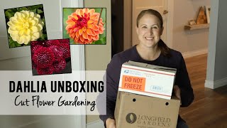 Dahlia Unboxing What Im Growing for Cut Flowers This Year  Sunshine and Flora [upl. by Haissem]