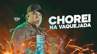 Tarcísio do acordeon CHOREI NA VAQUEIJADA 🐴 [upl. by Alleber]