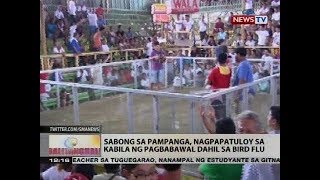 Sabong sa Pampanga nagpapatuloy sa kabila ng pagbabawal dahil sa bird flu [upl. by Bowrah679]