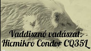 Vaddisznó elejtés Hikmicro Condor CQ35L [upl. by Neeham]