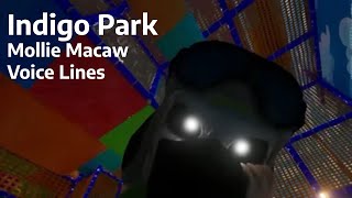 Indigo Park  Mollie Macaw Voice Lines [upl. by Aicerg386]