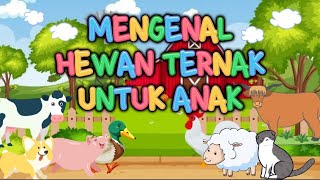 HEWAN TERNAK  Belajar Mengenal Hewan Ternak  Anak Pintar Belajar MacamMacam Hewan Ternak Lucu [upl. by Kinelski]