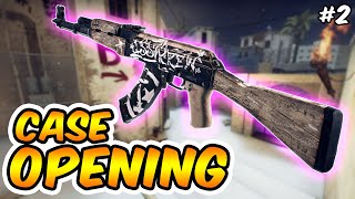 CSGO Case opening 2 [upl. by Pinchas]