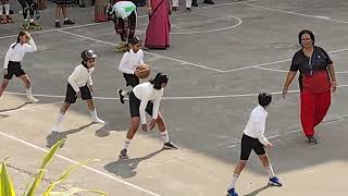 THE BSS SCHOOL Primary Section Fest 2024 [upl. by Ranchod]