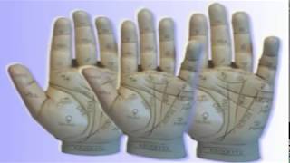 Learn Palm Reading [upl. by Aihsoem]