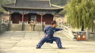 Wu Dang Ba Ji Quan  Yuan Shen You 武当八极拳 [upl. by Noivaz]