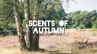 Scents of Autumn  Cinematic  Fujifilm XT4  Helios 442 [upl. by Latnahc204]