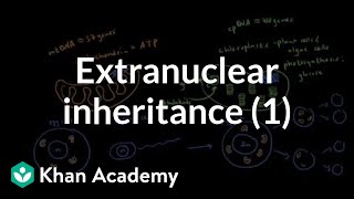 Extranuclear inheritance 1  Biomolecules  MCAT  Khan Academy [upl. by Fugere]