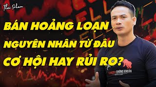 BÁN HOẢNG LOẠN NGUYÊN NHÂN CƠ HỘI HAY RỦI RO [upl. by Elac]