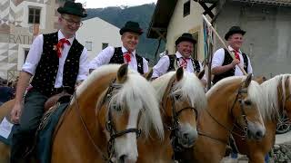 Haflinger Festival Schluderns 2024 [upl. by Llehcal]