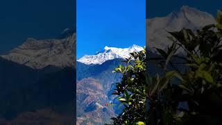 Kanchenjunga view from Darjeeling kanchenjunga tigerhill darjeeling himalayas siliguri [upl. by Durant]