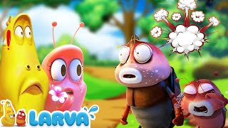 Larvas Animadas Nuevos Episodios 2021 🍬 1 Hora 🧀Larva Episodio Completo 🧇Larva Nuevos Capitulos 2021 [upl. by Yecaj]