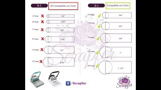 Los puntos a considerar para comprarle arillos a tu Cinch y no morir en el intento [upl. by Enelyad]