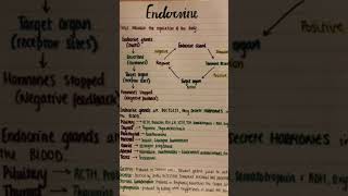 Endocrine systems PHYSIOLOGY and anatomy medical 20 [upl. by Zalucki]