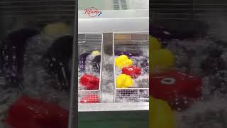 Bubble Vegetable and Fruit Washing Machine fruitwashing [upl. by Ainosal643]