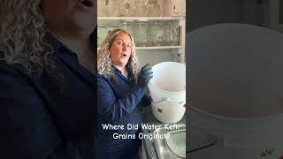 Where Did Water Kefir Grains Originate [upl. by Ellicul]