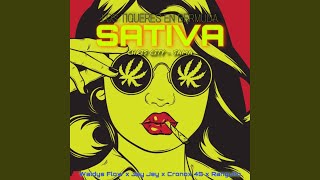 Sativa feat Waldys Flow Cronox 45 amp Ranguito [upl. by Airbas]