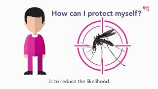 Zika Virus What you should know [upl. by Charbonneau]