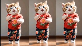 😻💃Cute cat funny dancing videodancingcat funnypet catvideos furrycornerz [upl. by Gnanmas101]