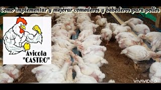 Como implementar y mejorar comederos y bebederos para pollos de engorde [upl. by Oren]