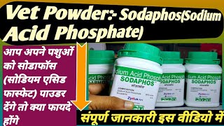 Vet Powder SodaphosSodium Acid Phosphateआप अपने पशुओं को सोडाफॉस पाउडर देंगे तो क्या फायदे होंगे [upl. by Philipson38]